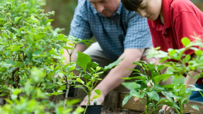 Abitudini eco-friendly: come iniziare a vivere in modo sostenibile 11