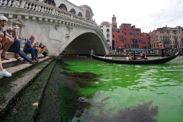 Venezia, acqua verde fluorescente: chi ha versato la sostanza e cosa voleva dimostrare 7