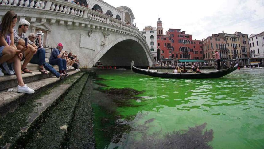 Venezia, acqua verde fluorescente: chi ha versato la sostanza e cosa voleva dimostrare 1