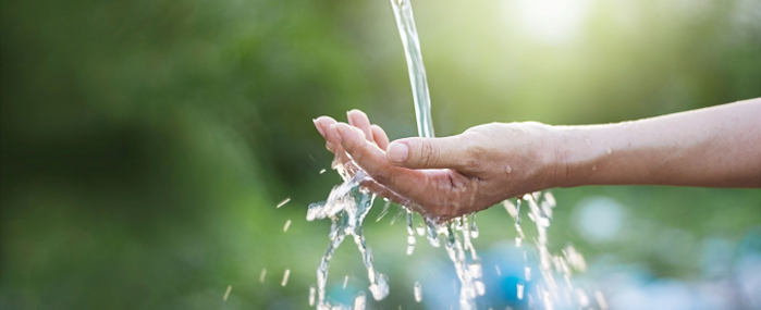 7 idee per una casa eco-friendly senza spendere una fortuna 7