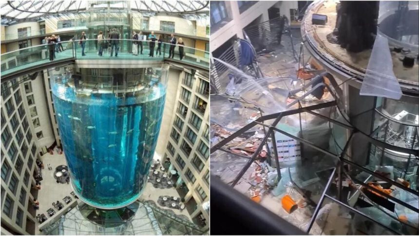 Berlino, esplode il più grande acquario del mondo: quanto è etico avere pesci in cattività? 1