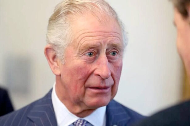 Re Carlo, cos'è la profezia di Nostradamus e cosa succede dopo l'incoronazione 8