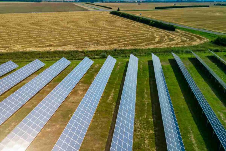 Crisi energetica: la soluzione arriva dall’agrivoltaico 1