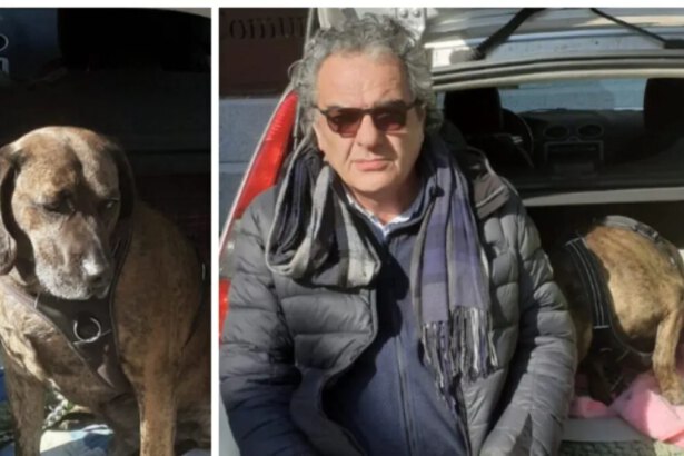 Dorme in auto per non lasciare il suo cane, la comunità gli trova casa e lavoro 7