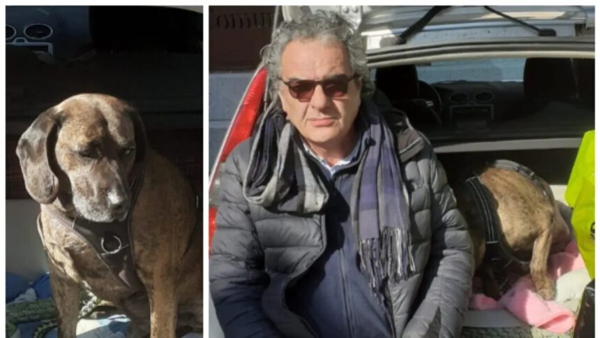 Dorme in auto per non lasciare il suo cane, la comunità gli trova casa e lavoro 1