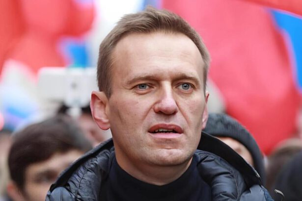 Alexey Navalny, le 5 frasi più celebri, principi di vita e simbolo di lotta contro il potere 13