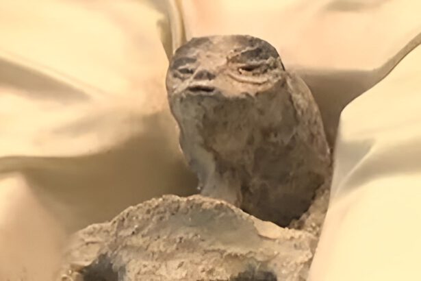 Mostrate due mummie aliene al Parlamento del Messico. Ma cosa c'è di vero? 6