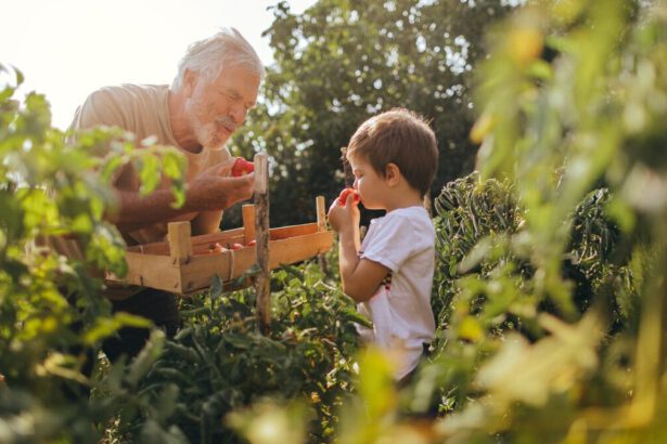 Qual è l'impatto ambientale della nostra alimentazione? 45