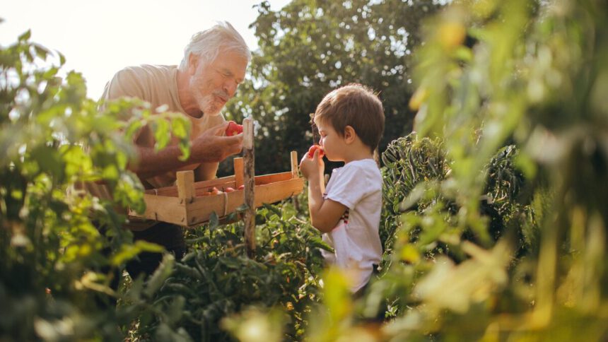 Qual è l'impatto ambientale della nostra alimentazione? 2 Qual è l'impatto ambientale della nostra alimentazione? 1