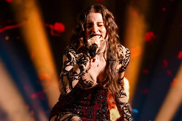 Eurovision, le 26 canzoni in gara, quando si esibirà Angelina Mango e quanto guadagna il vincitore 14