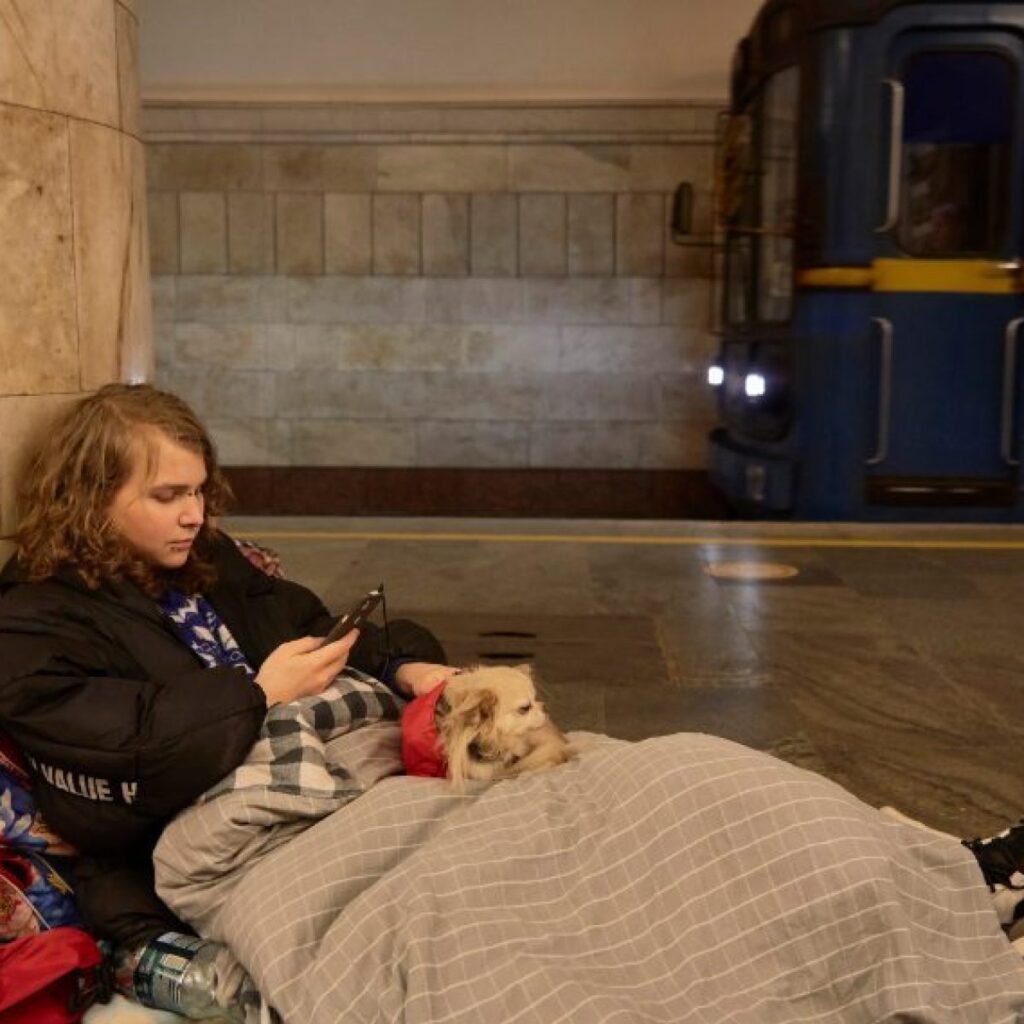 Come aiutare gli animali in Ucraina: portarli in Europa è vietato 5