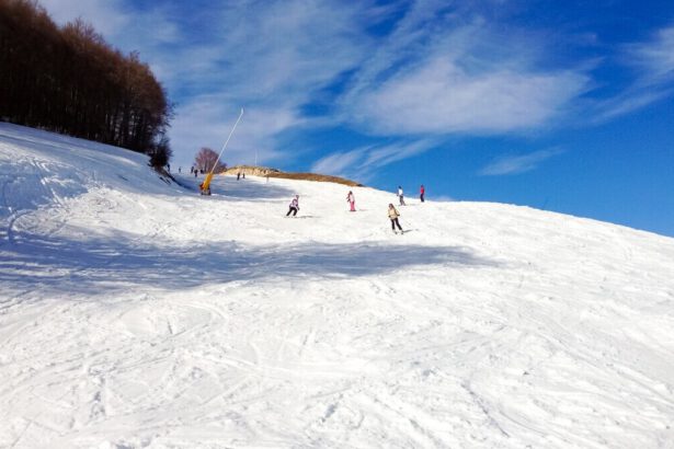 Arriva Big Snow: dove sono previste abbondanti nevicate? 14