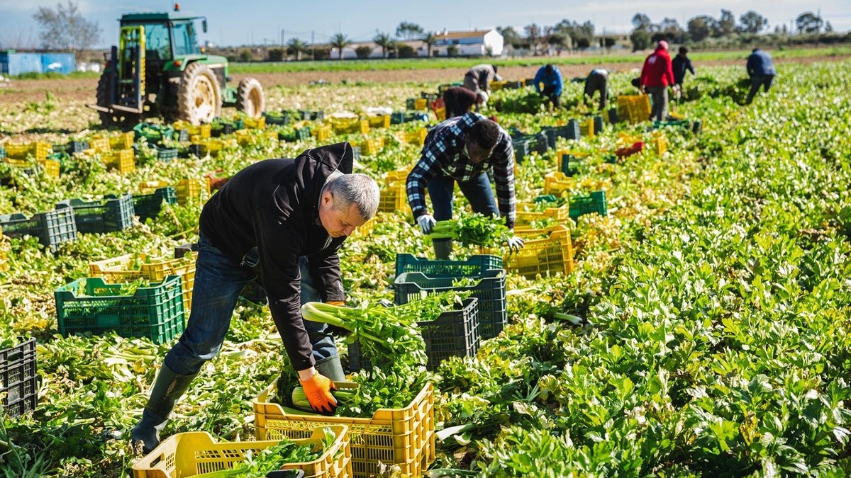 Cosa sono le associazioni fondiarie, a cosa servono e come sono sostenute 13