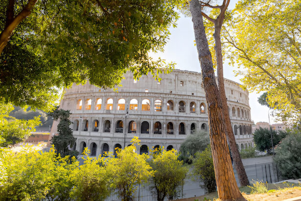Il Parco Archeologico del Colosseo diventa un'oasi antismog 17
