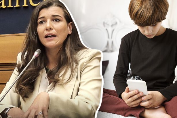 Baby influencer, cosa prevede la proposta di legge e i rischi per i genitori sui social 10