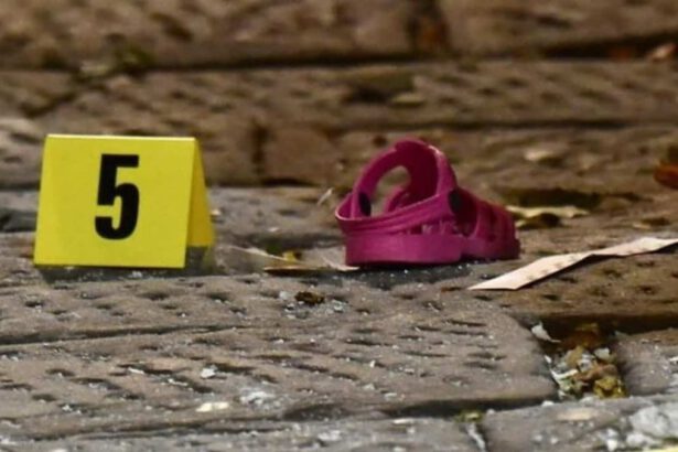 Modena, bimbo cade dalla finestra, la baby sitter: “Sono stata io, ero in catalessi” 66