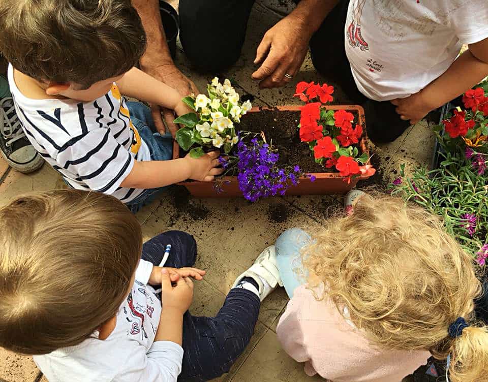 Asilo green a Tavagnacco, unico nel suo genere, risparmia energia e CO2 4 Asilo green a Tavagnacco, unico nel suo genere, risparmia energia e CO2 3