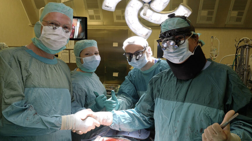 Un neonato cardiopatico considerato inoperabile a Londra è stato salvato a Genova: "Ora sta bene" 1