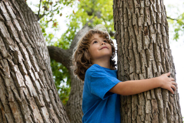 Grazie alla "biofilia", la relazione con la natura, si riduce il rischio di malattie croniche 5