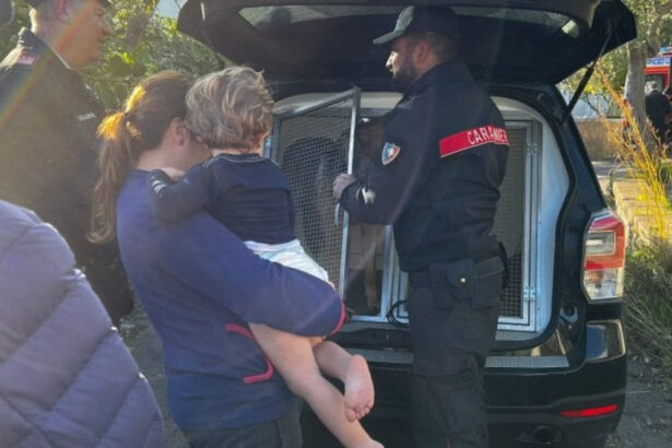 Ritrovato Gennaro, il bimbo di 3 anni scomparso a Nerano: "L'hanno sentito piangere" 17