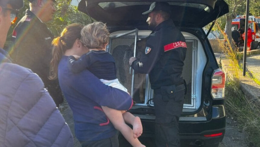 Ritrovato Gennaro, il bimbo di 3 anni scomparso a Nerano: "L'hanno sentito piangere" 1