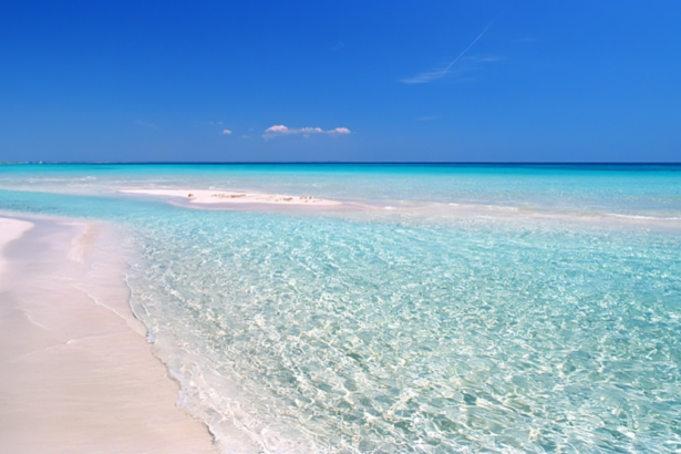 Bandiere Blu, gli Oscar delle spiagge italiane: ecco quelle da sogno 15