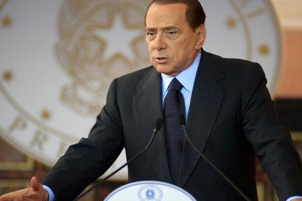 Che cos'è la Leucemia mielomonocitica cronica, malattia che ha colpito Berlusconi e Baricco 22