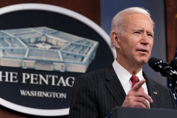 Ucraina, Pentagono chiama Mosca per la prima volta: "Serve cessate il fuoco" 19