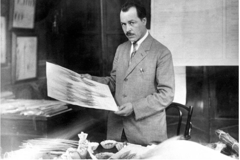 Nikolaj Vavilov, quel genio della genetica eroe della "biodiversità" 3