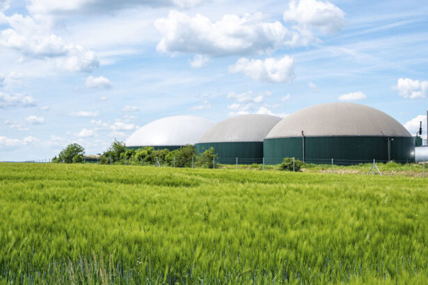 50 milioni di euro per incentivare la produzione di biometano e ridurre le emissioni 14