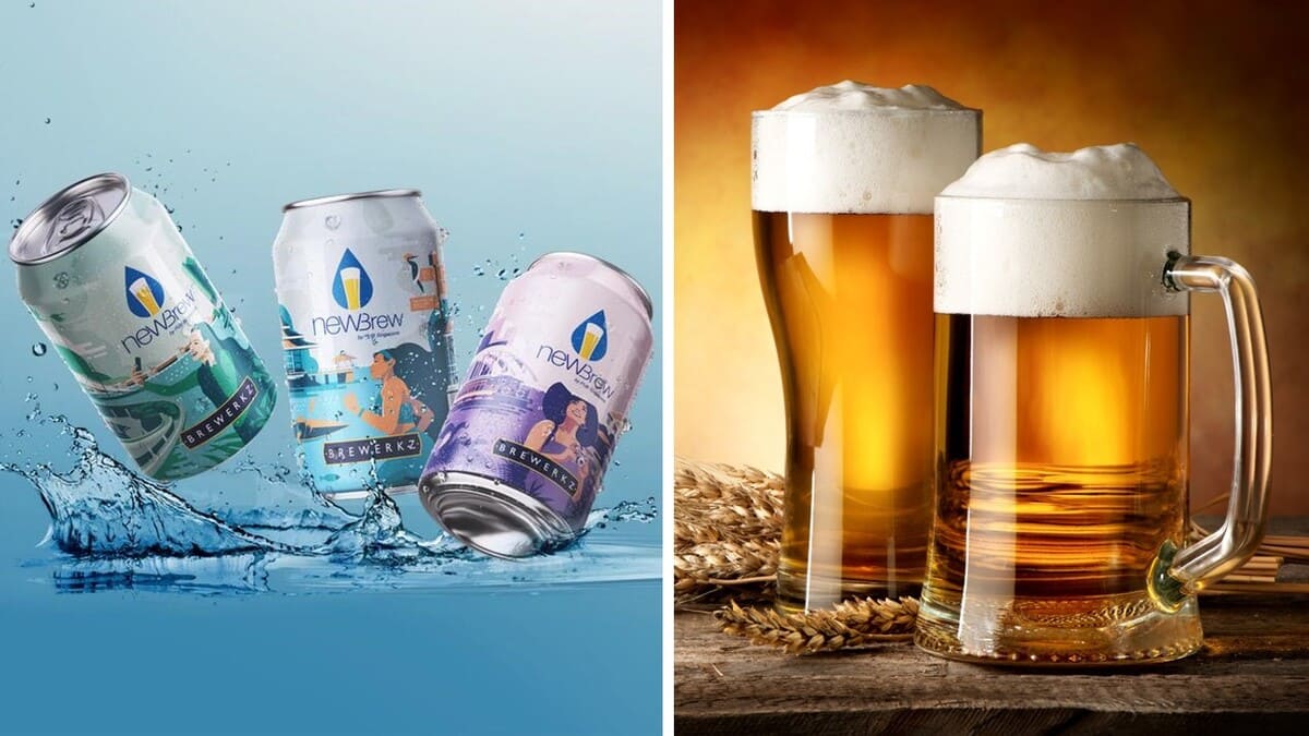 Singapore, arriva la birra prodotta con acqua di fogna: “Sa di miele” 21