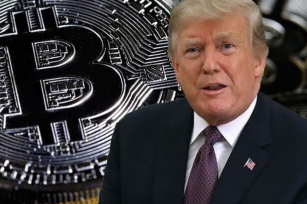 Record bitcoin, superato il prezzo di 100mila dollari, cosa c'entra Trump? 8
