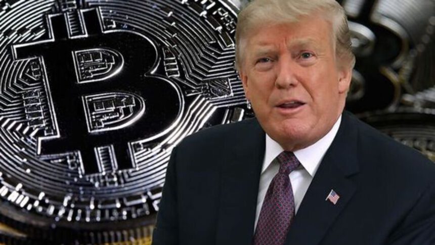 Record bitcoin, superato il prezzo di 100mila dollari, cosa c'entra Trump? 2 Record bitcoin, superato il prezzo di 100mila dollari, cosa c'entra Trump? 1