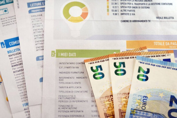 Bonus 600 euro per pagare le bollette: a chi spetta, requisiti e come ottenerlo 12