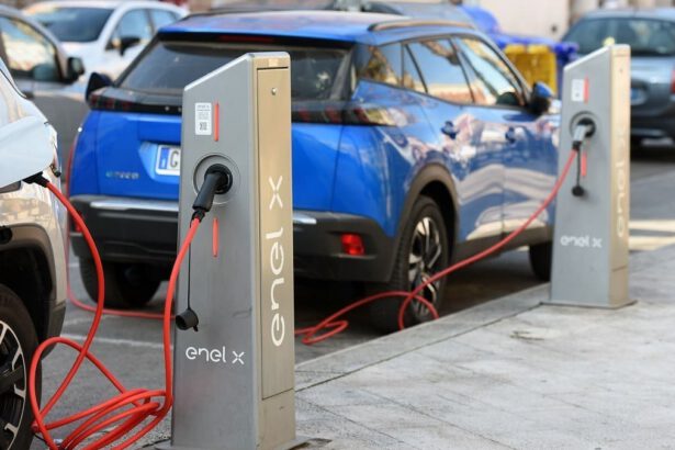 Bonus auto 2024, da 1.500 fino a 14 mila euro: come funziona e a chi spetta 17