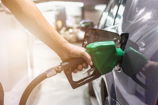 Bonus carburante: a chi spetta e come fare per richiederlo 19