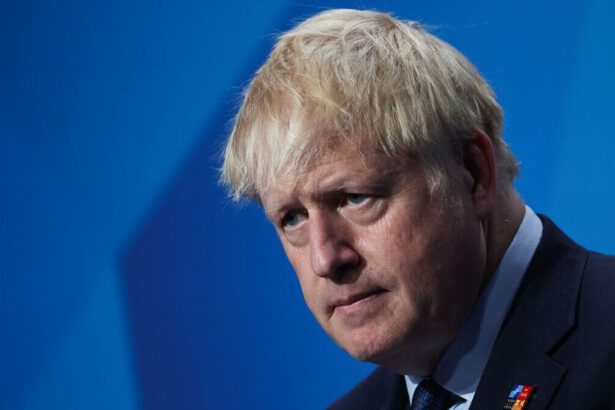Boris Johnson si dimette ma rimarrà fino all'autunno. Labour: “Deve andar via immediatamente” 14