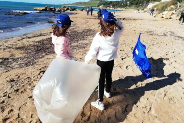 Cosa sono i campi di volontariato e chi li organizza in Italia 14