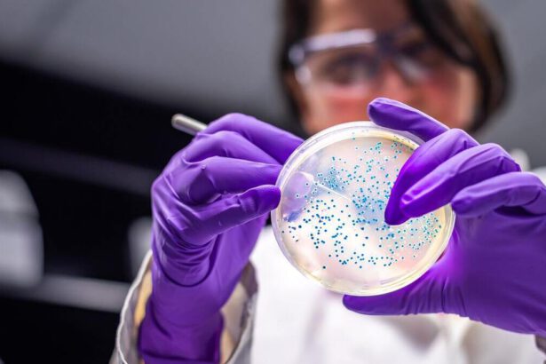 Cancro colon-retto, create cellule killer ancora più potenti contro la malattia 9