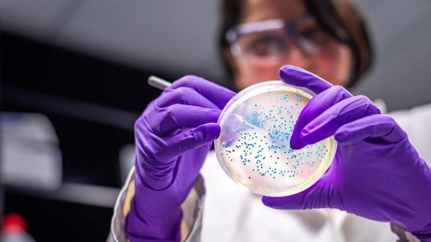 Cancro colon-retto, create cellule killer ancora più potenti contro la malattia 1