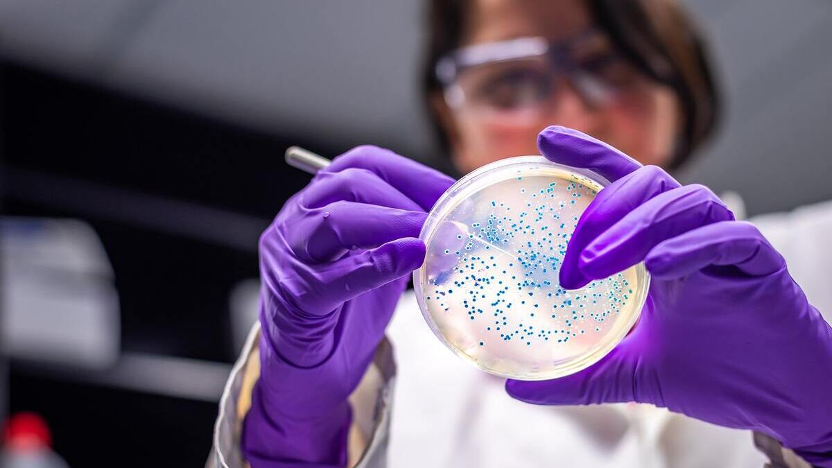 Cancro colon-retto, create cellule killer ancora più potenti contro la malattia 13