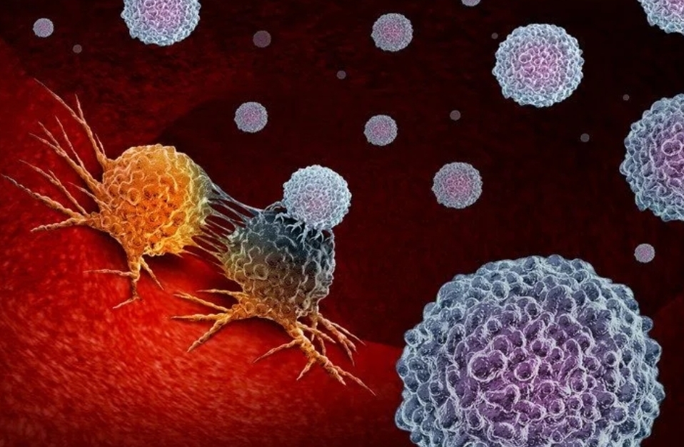 Cancro, nel 2024 cresce l’aspettativa di vita: "Più screening, più guarigioni" 3