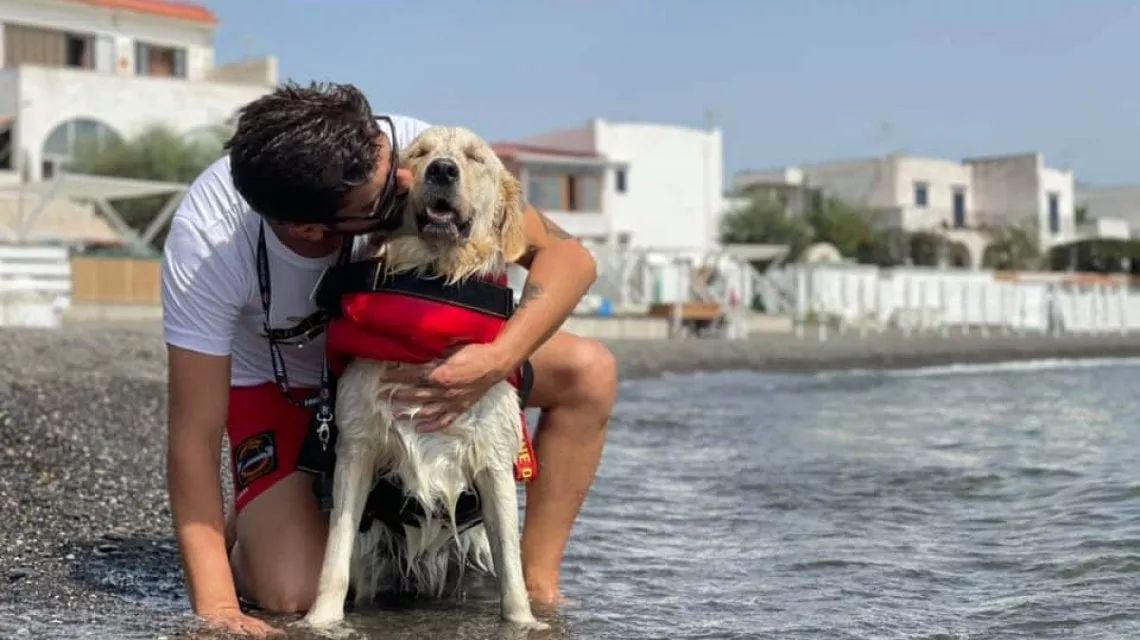 Cani bagnino, gli eroi che hanno salvato 5 vite nel Cilento. Chi sono e come fanno 15