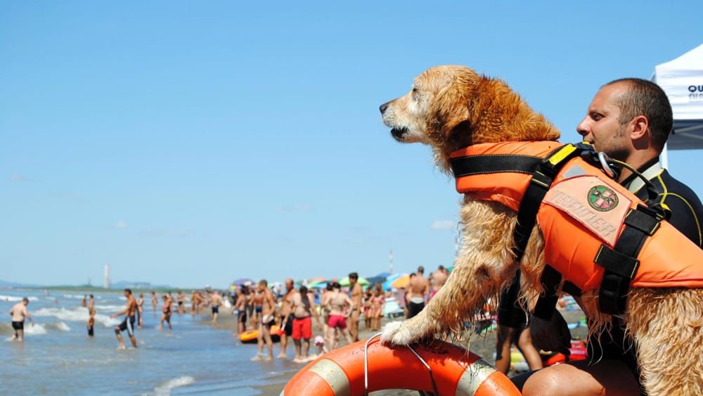 Cani bagnino salvano 3 fratellini a Voltri 3