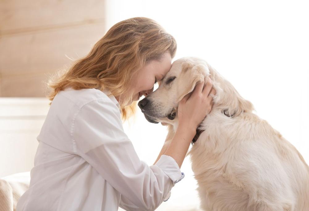 Galateo per i proprietari di cani in un condominio, 7 regole da rispettare per il quieto vivere 3