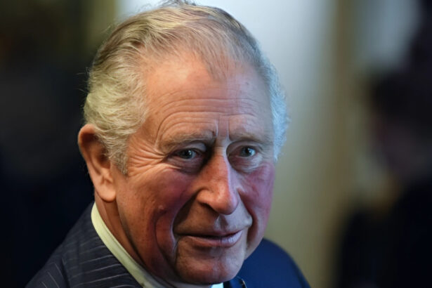 Carlo III d'Inghilterra, ha allestito il suo funerale: cos'è l'operazione Menai Bridge? 14