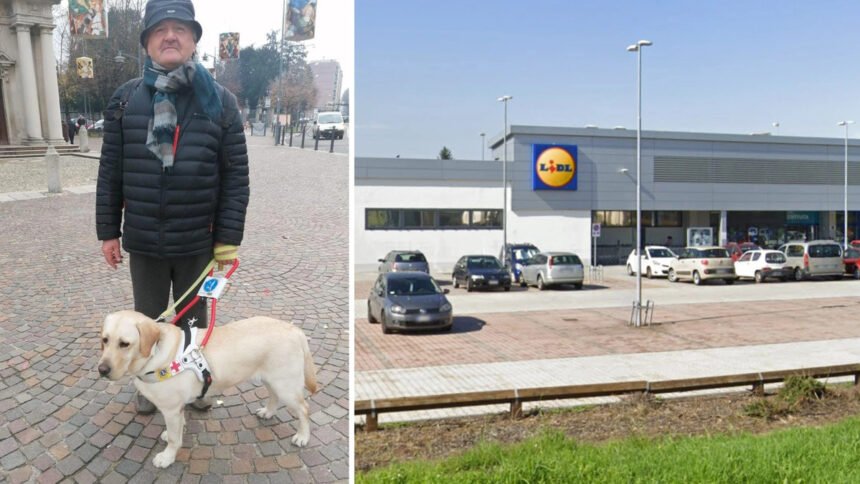 Carlo, 65enne cieco, allontanato da Lidl per il cane guida: le regole vengono prima dell'umanità? 1