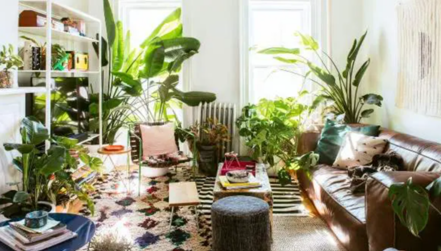 7 idee per una casa eco-friendly senza spendere una fortuna 1