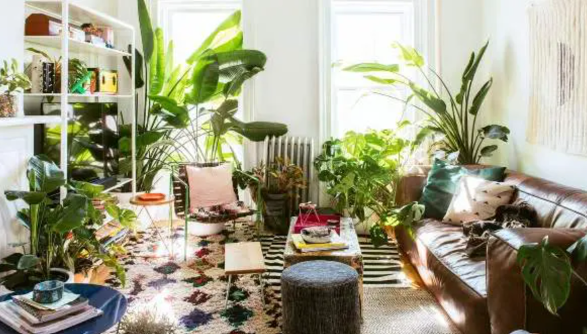 7 idee per una casa eco-friendly senza spendere una fortuna 17