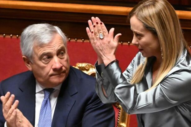 Caso dossieraggio: perché si parla di piano segreto e contro la destra? La verità sulle ricerche illecite 5